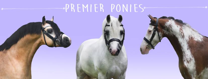 Premier Ponies